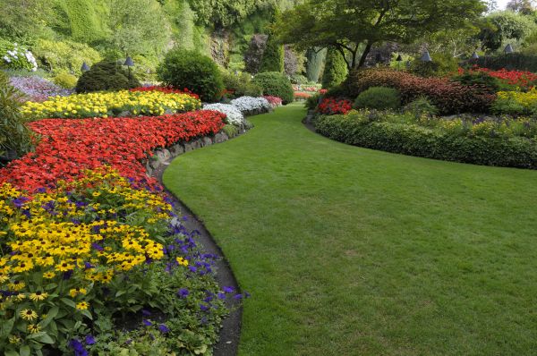 Landscaping Maintenance Service