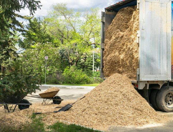 Wood Chips Delivery in Brandon