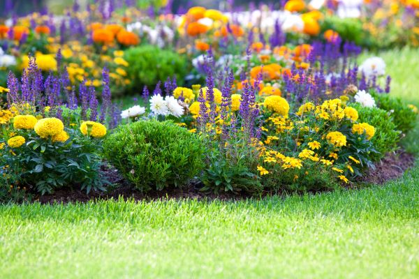 Garden Installation in Brandon