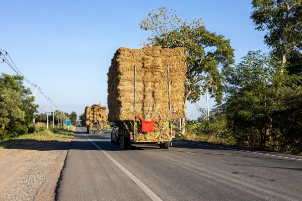 Pine Straw Delivery in Brandon