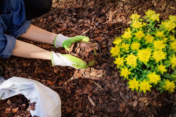 Garden Mulching in Brandon