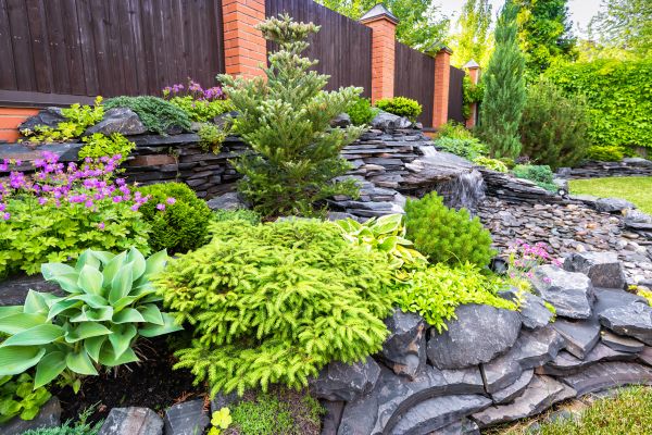 Landscape Remodeling in Brandon