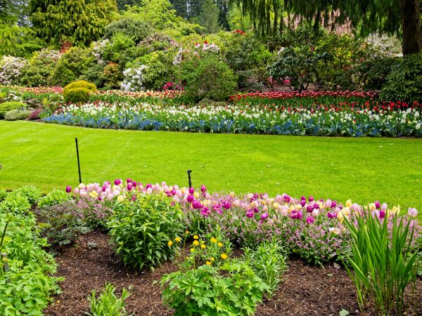 Residential Landscape Design in Brandon
