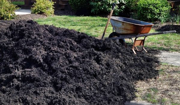 Black Mulch Installation in Brandon