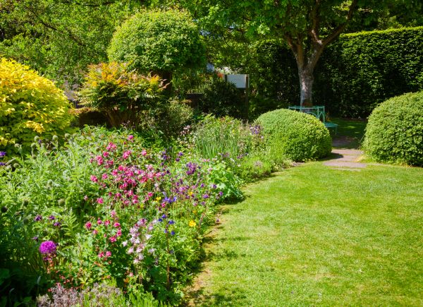Yard Landscaping Service in Brandon
