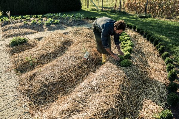 Straw Mulching Service in Brandon