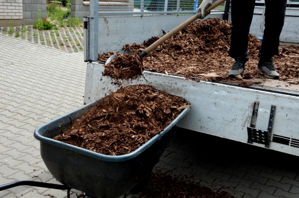 Landscape Mulch Delivery in Brandon