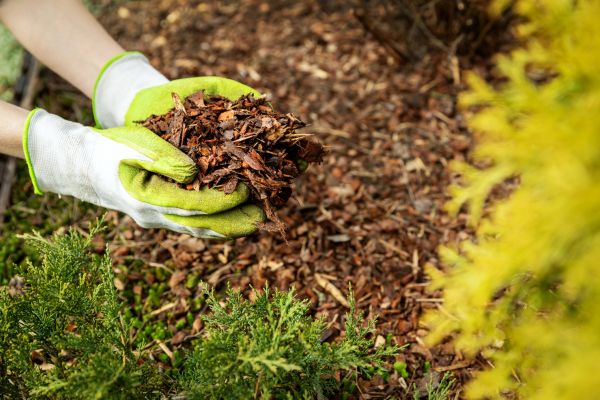 Garden Mulch Delivery in Brandon