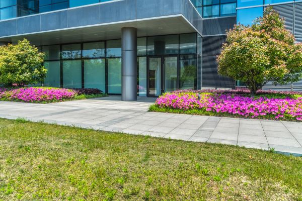 Commercial Gardening in Brandon