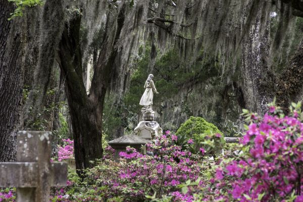 Cemetery Landscaping in Brandon