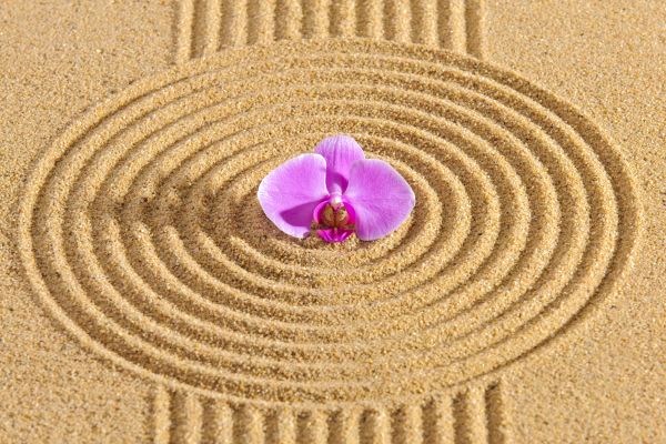 Sand Garden Landscaping in Brandon