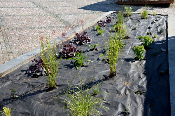 Landscape Fabric Installation in Brandon