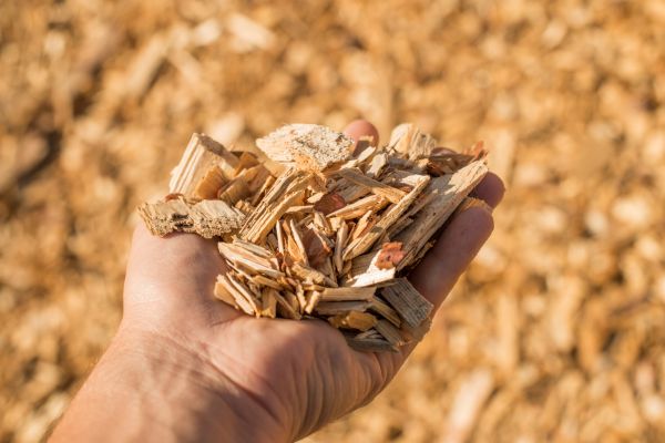 Wood Chips Spreading in Brandon