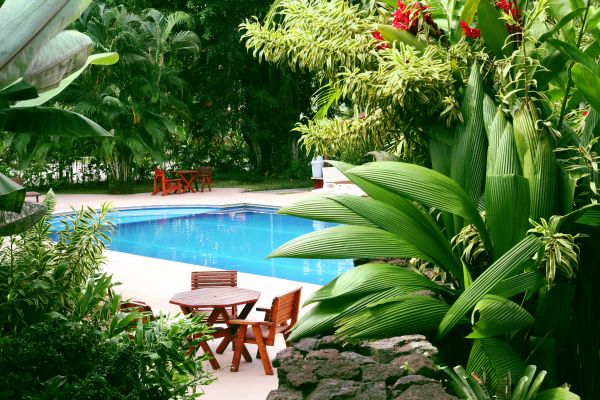 Pool Area Landscaping in Brandon