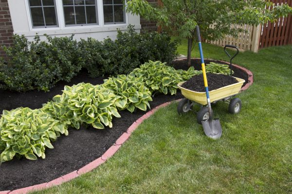 Landscape Mulching Service