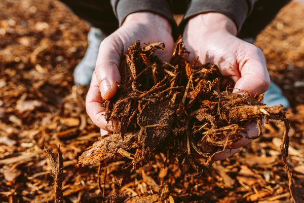Bark Chips Delivery in Brandon