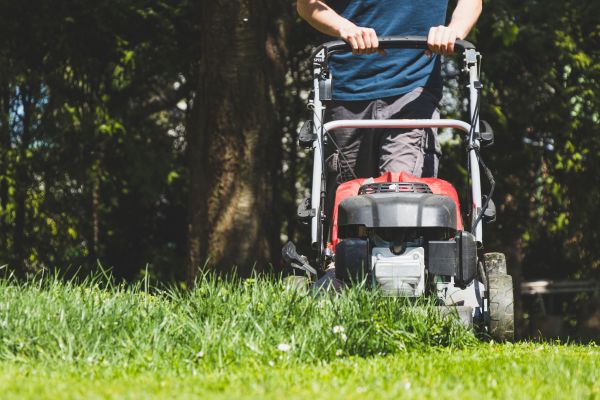 Garden Trimming Service in Brandon