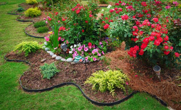Floral Landscaping in Brandon