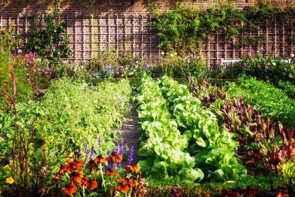 Garden Planting Service in Brandon