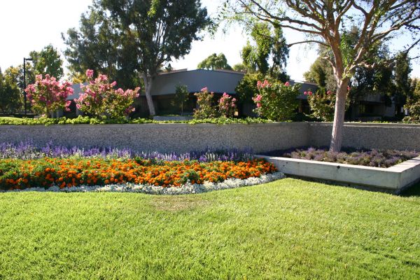 Commercial Landscape Service in Brandon