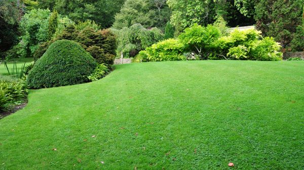 Commercial Landscape Design in Brandon