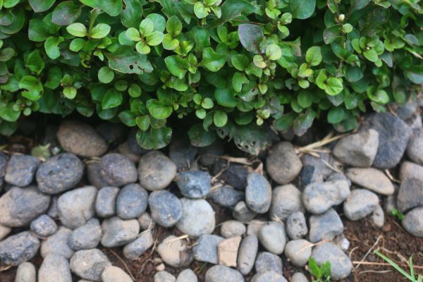 River Stone Installation in Brandon