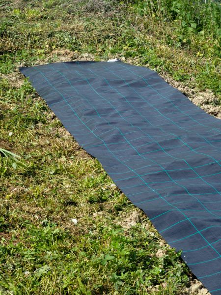 Weed Suppressant Installation in Brandon