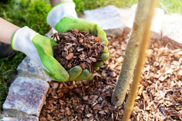 Tree Bark Delivery in Brandon