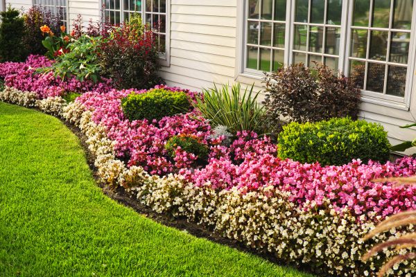 Garden Landscape Design in Brandon