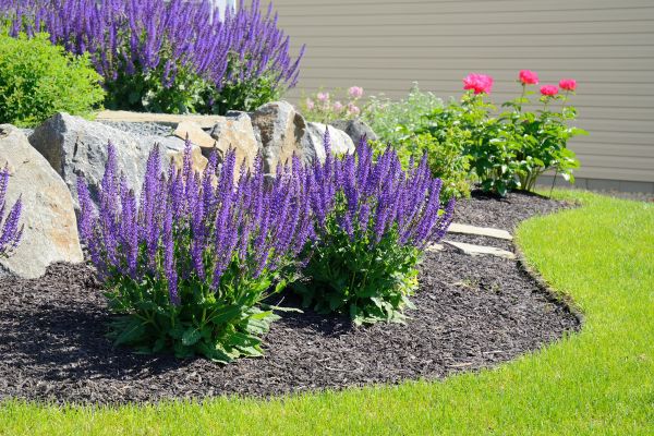 Landscape Planting Service in Brandon