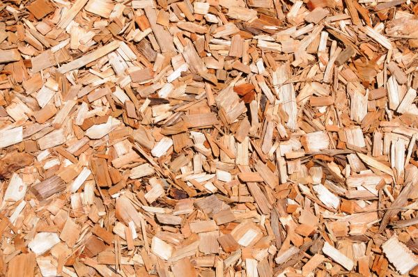 Cypress Mulch Spreading in Brandon