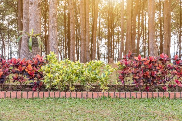 Small Garden Landscaping in Brandon