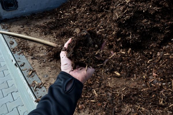 Condo Mulching in Brandon