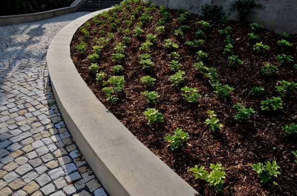 Commercial Mulching in Brandon